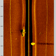 12m boat wreck and schools of fish - Middle Harbour - 900kHz sidescan sonar from AUV