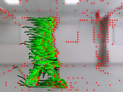 Motion detection and tracking of a person in video sequence using optical flow.