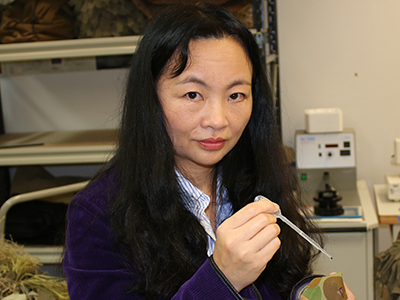 Defence researcher Jie Ding.