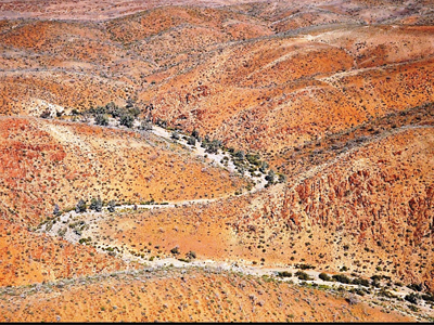 Aerial view of the Northern Flinders Ranges containing incised creek valleys and gorges where Warratyi Rock Shelter was discovered.