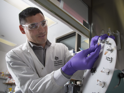 Dr Craig Brinkworth working with samples in the lab