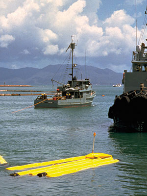 A photo of the Australian minesweeping and support system in the water