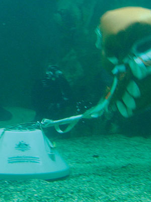 An underwater image of the Cormorant Mine Lift Bag