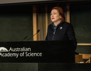 An image of the Chief Defence scientist address the symposium