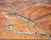 Aerial view of the Northern Flinders Ranges containing incised creek valleys and gorges where Warratyi Rock Shelter was discovered.
