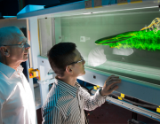 DST Honorary Fellow Dr Lincoln Erm and Dr Soon-Kong Lee observe a generic submarine model's wake. Picture of DST Honorary Fellow Dr Lincoln Erm and Dr Soon-Kong Lee observing a generic australian navy submarine's model's wake.