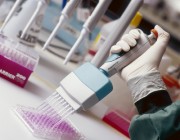 A photograph of a hand using a multi-channel pipette.