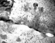 A scanned negative of aluminium alloys Scanned negative of aluminium alloys