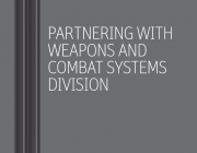 DST Weapons and Combat Systems Division brochure DST Weapons and Combat Systems Division brochure identity
